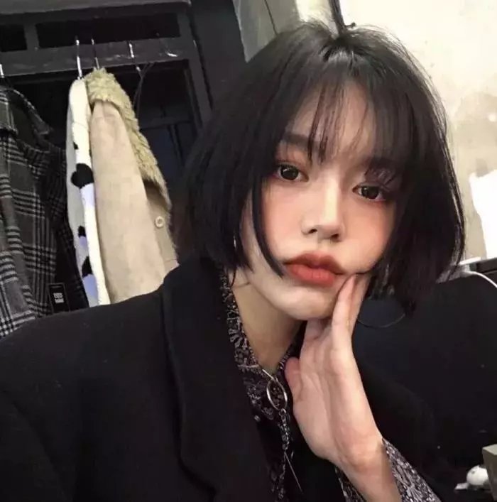 房子与狗
